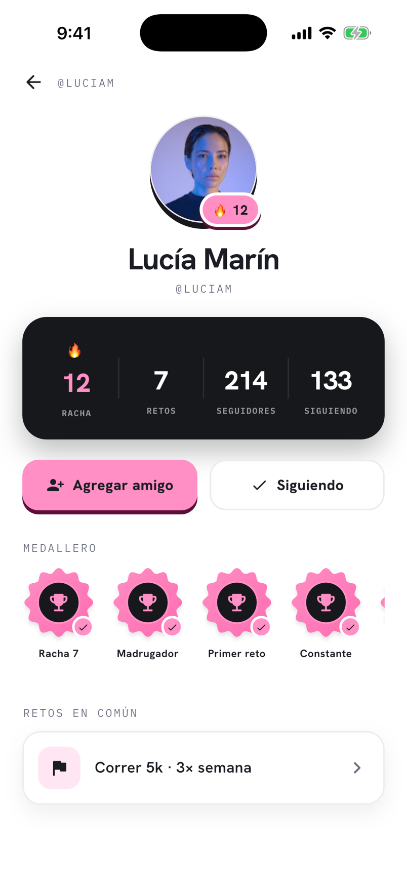 Captura de la app WIP.: Perfiles que se abren